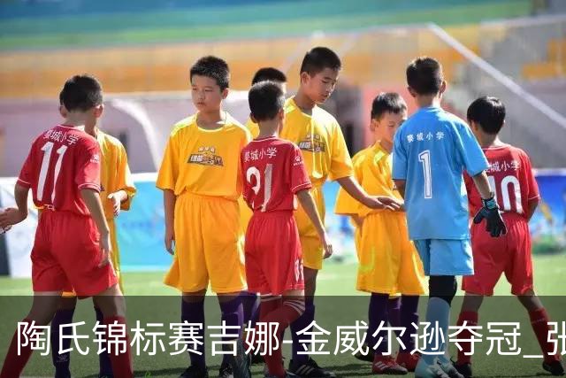 陶氏锦标赛吉娜-金/威尔逊夺冠 张维维/张雅惠T12